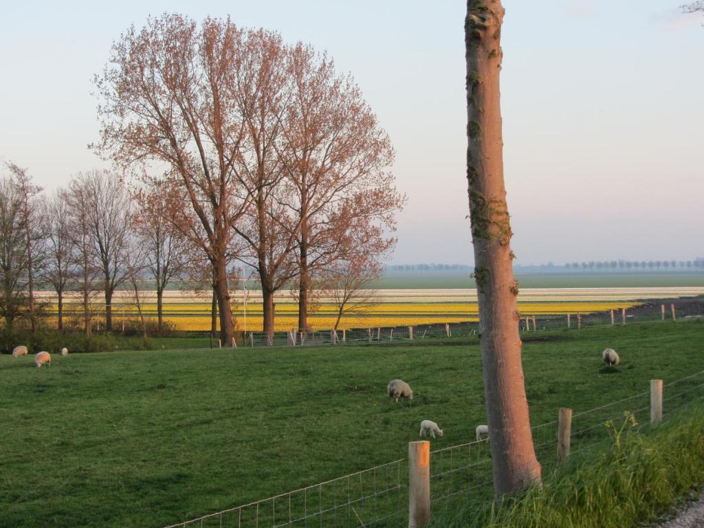 Bed En Breakfast In Het Fruit Zuidoostbeemster Eksteriør bilde